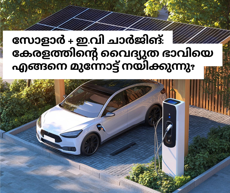 solar panels